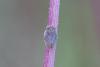 244727 – Photo : Johan Verstraeten – France (20)